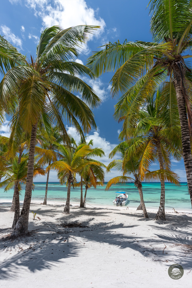 Granitfelsen am Strand von Anse Patates (Seychellen)