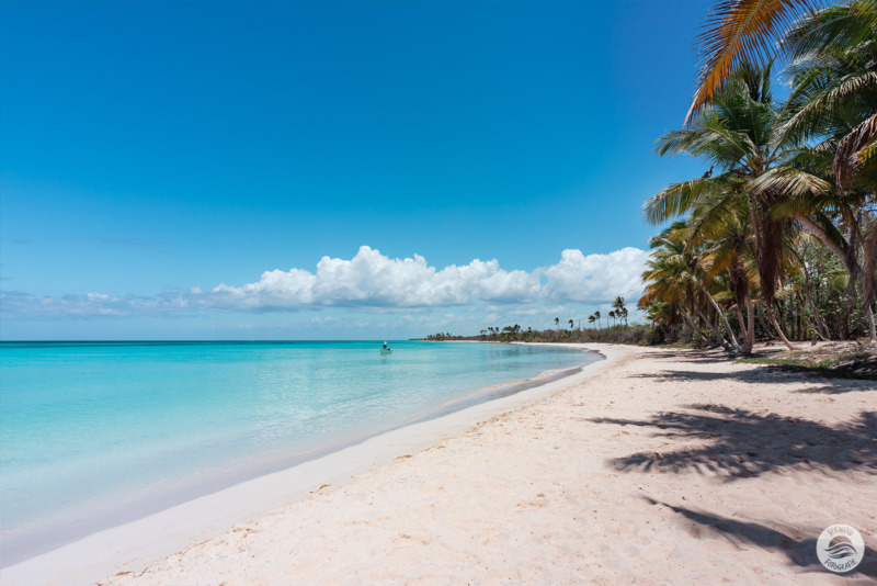 Granitfelsen am Strand von Anse Patates (Seychellen)