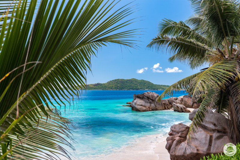 Granitfelsen am Strand von Anse Patates (Seychellen)