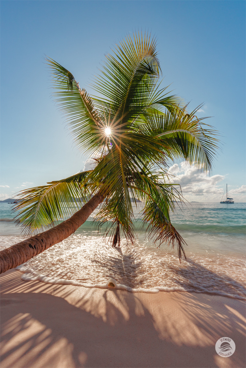 Granitfelsen am Strand von Anse Patates (Seychellen)