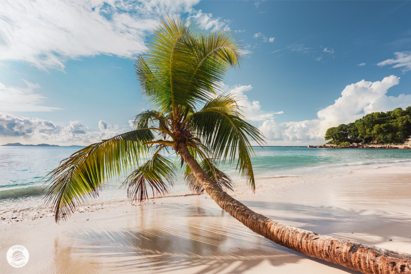 Granitfelsen am Strand von Anse Patates (Seychellen)